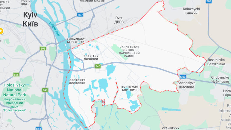 Дарницький район